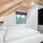 Chalet Schletski