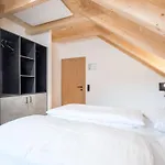 Chalet Schletski